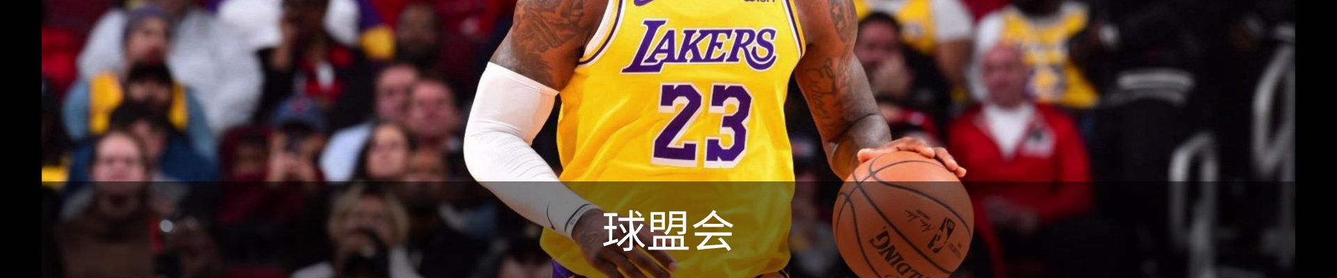 球盟会